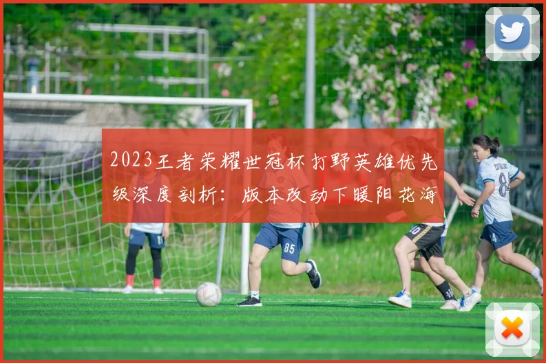 2023王者荣耀世冠杯打野英雄优先级深度剖析：版本改动下暖阳花海的野区博弈