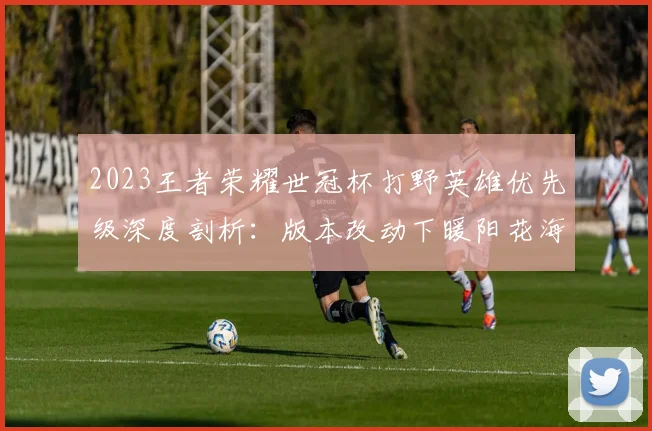 2023王者荣耀世冠杯打野英雄优先级深度剖析:版本改动下暖阳花海的野区博弈